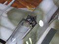 Plastikowy model samolotu Hawker Typhoon Mk.Ib w skali 1:48 - foto nr 9.