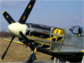 Odnośnik do plastikowego modelu samolotu P-51 Mustang Mk.IV w skali 1:24